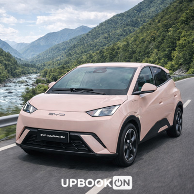 byd dolphin mini price